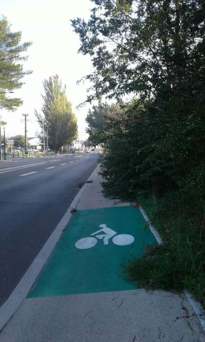 Végétation sur piste cyclable avenue d
