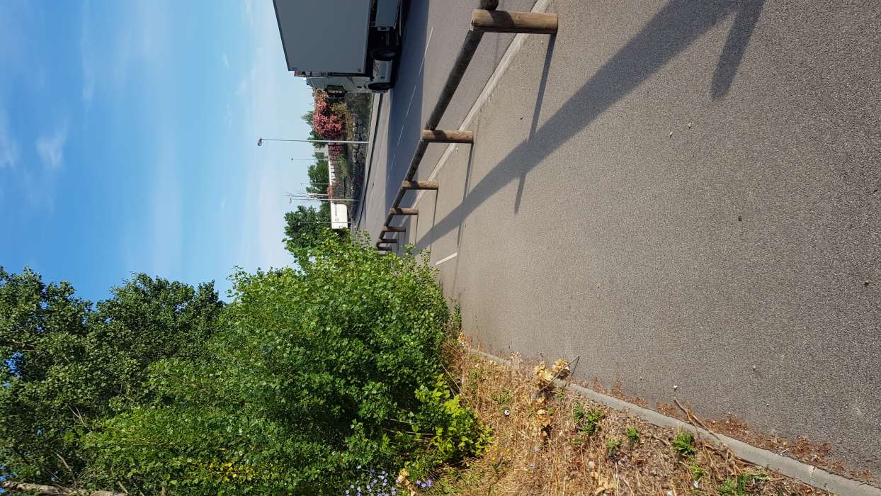 Grosse végétation empiétant sur piste cyclable 